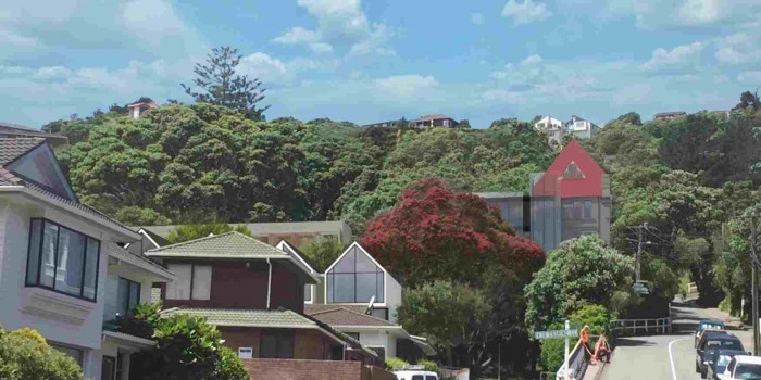 31 Avon Street, Island Bay, Auckland