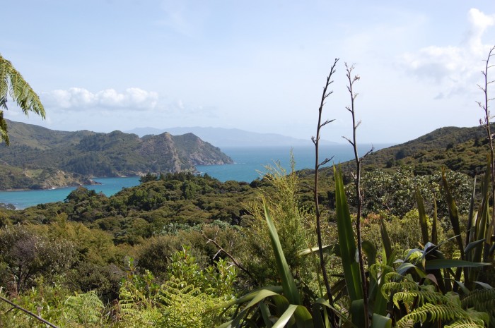 244 Blind Bay Road, Great Barrier Island 0991, Auckland