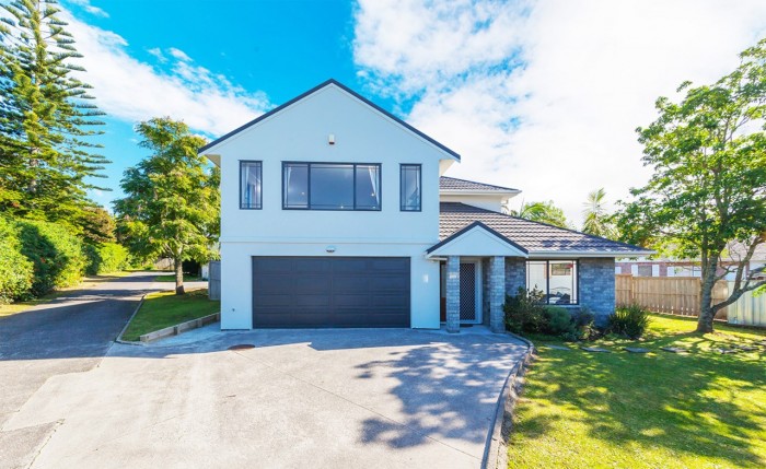 552A Don Buck Road, Westgate, Auckland 0000