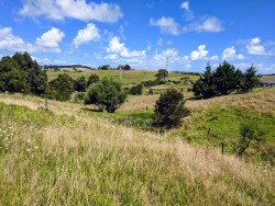 2990 Kaipara Coast Highway, Glorit, Rodney 0984, Auckland