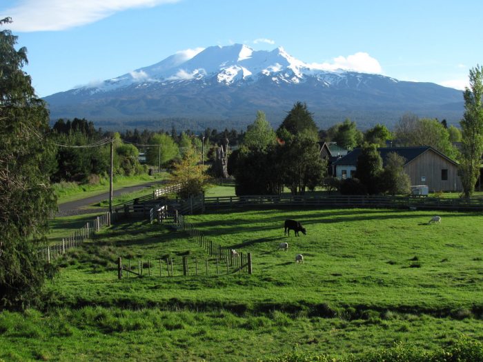 35 Marino Street, Ohakune, Ruapehu, Manawatu / Wanganui