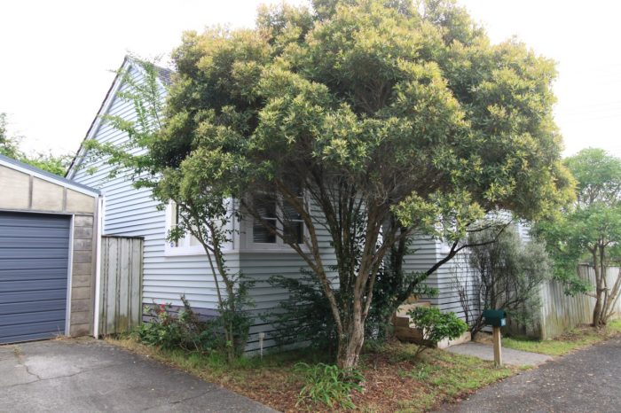 50 Arawa Street, New Lynn, Waitakere City 0600, Auckland