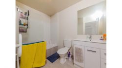 53/17 Lyon Avenue, Mount Albert, Auckland City, Auckland, 1025, New Zealand