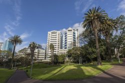 363 Queen St Auckland, 1010