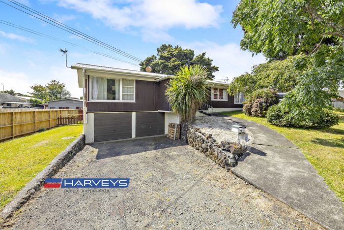 4 Butterwort­h Avenue, Opaheke, Papakura, Auckland, 2113, New Zealand