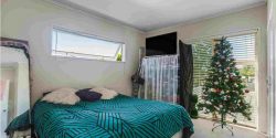 17 Howard Hunter Avenue, Saint Johns, Auckland City, Auckland, 1072, New Zealand