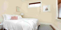 12 Takau St, Eden Terrace, Auckland 1021, New Zealand