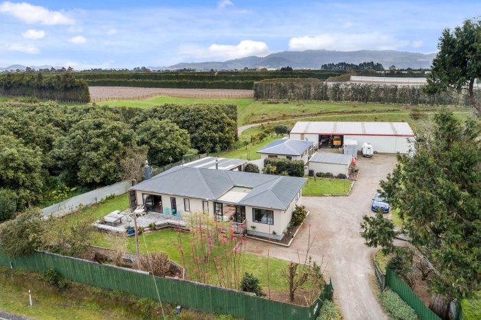 226 No 1 Road, Te Puke, Western Bay Of Plenty, Bay Of Plenty, 3182, New Zealand