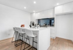 4C Rosedale Avenue, Mount Eden, Auckland, 1024, New Zealand