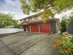 65 Fitzroy Street, Terrace End, Palmerston North, Manawatu / Wanganui, 4410, New Zealand