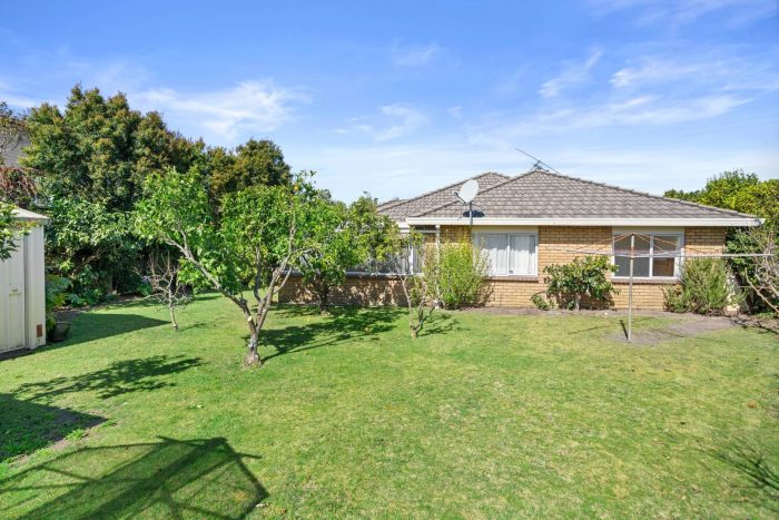 39 Sunrise Avenue, Mount Maunganui, Tauranga, Bay Of Plenty, 3116, New Zealand