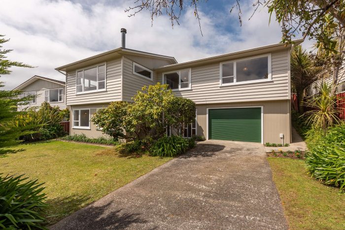 5 Somerville Terrace, Tawa, Wellington, 5028, New Zealand