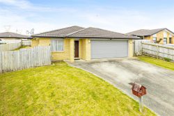 22 McKittrick Avenue, Flat Bush, Manukau City, Auckland, 2019, New Zealand