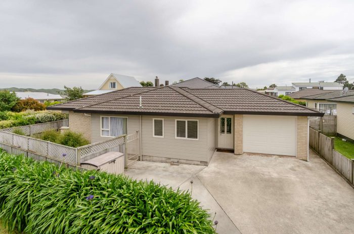 29A Horokiwi Road, Newlands, Wellington, 6037, New Zealand