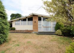 49 Brooklyn Road, Carterton, Wellington, 5713, New Zealand