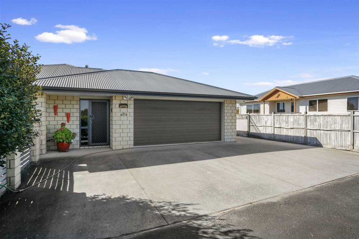 21b Snell Street, Morrinsville, Matamata-Piako, Waikato, 3300, New Zealand