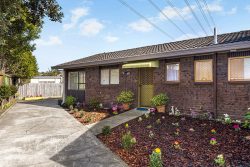 2/4 Andes Place, Lynfield, Auckland, 1042, New Zealand