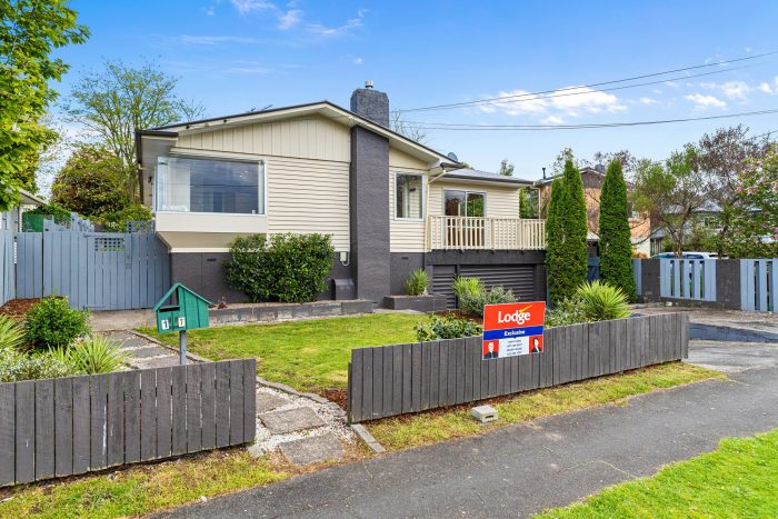 17 Morris Road, Hillcrest, Hamilton, Waikato, 3216, New Zealand