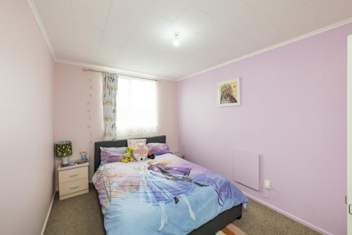 800 Tremaine Avenue, Roslyn, Palmerston North, Manawatu / Whanganui, 4414, New Zealand