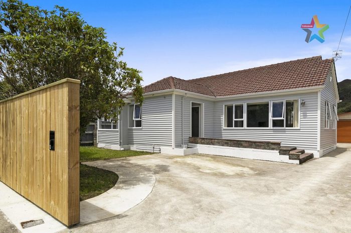 9 Wheatley Street, Naenae, Lower Hutt, Wellington, 5011, New Zealand