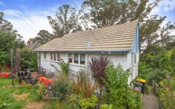 49 Cockerell Street, Brockville, Dunedin, Otago, 9011, New Zealand