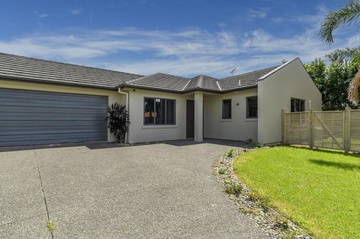 113 Solomon Street Brookfield, Tauranga Bay of Plenty 3110, New Zealand