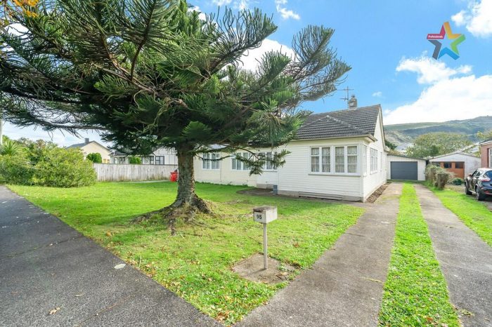 95 Molesworth Street, Taita, Lower Hutt, Wellington, 5011, New Zealand