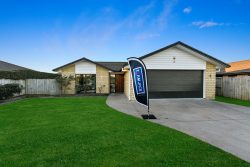 256 Borman Road, Rototuna, Hamilton, Waikato, 3210, New Zealand