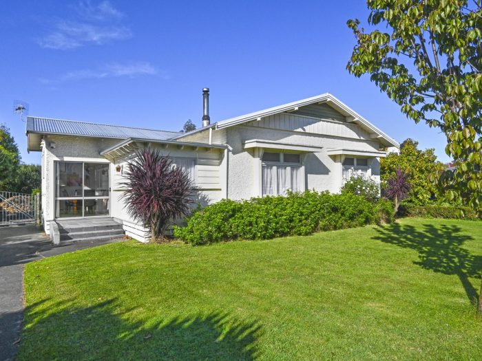 1027 Konini Street, Mahora, Hastings, Hawke’s Bay, 4120, New Zealand