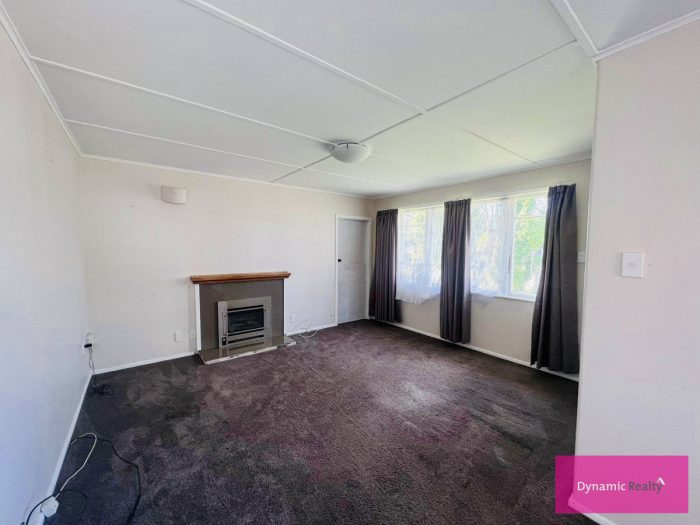 134 Vogel Street, Roslyn, Palmerston North, Manawatu / Whanganui, 4414, New Zealand