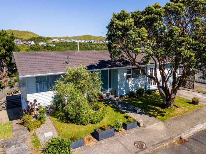 24 Rossport Street, Johnsonville, Wellington, 6037, New Zealand