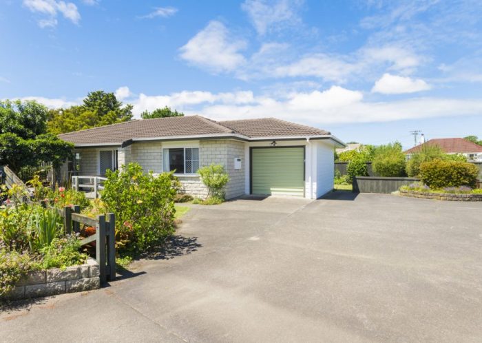 12B Goldsmith Street, Elgin, Gisborne, 4010, New Zealand