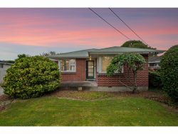 12 Blossomdale Place, Bishopdale, Christchurch City, Canterbury, 8053, New Zealand