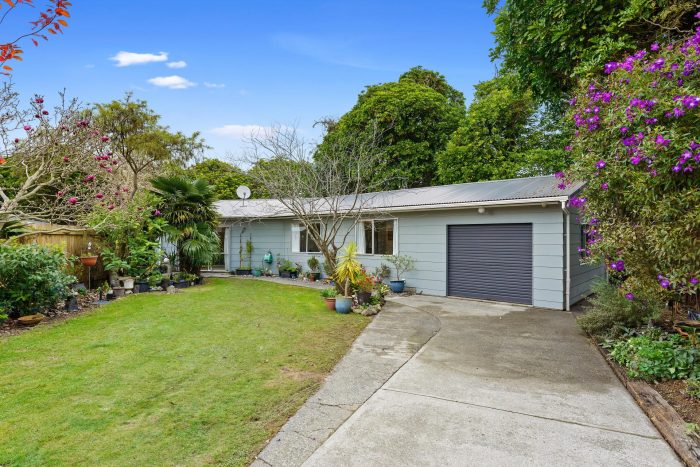 8 Aratika Crescent, Otaki, Kapiti Coast, Wellington, 5512, New Zealand