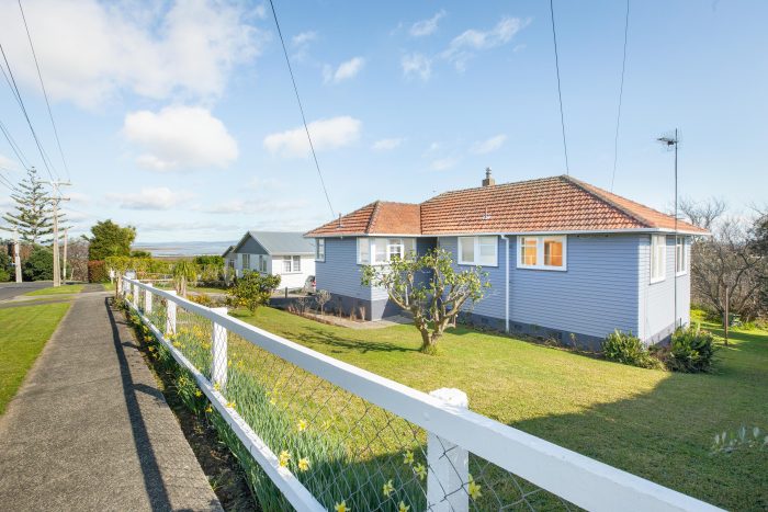 107 Hauraki Terrace, Thames, Thames-Coromandel, Waikato, 3500, New Zealand