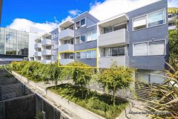 204/22 Fisher Point Drive, Freemans Bay, Auckland City, Auckland, 1010, New Zealand