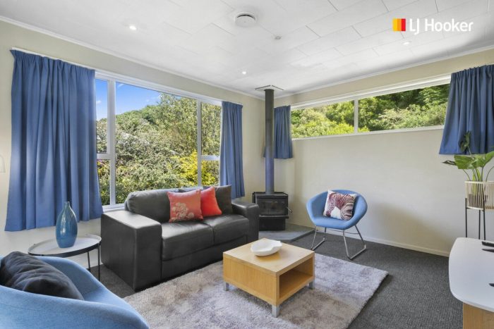 91 Somerville Street, Andersons Bay, Dunedin, Otago, 9013, New Zealand