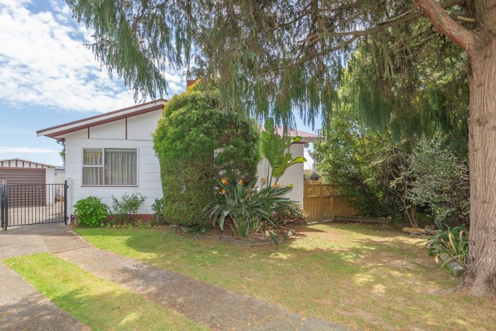 14 Strathmore Avenue, Levin, Manawatu/ Whanganui, 5510, New Zealand