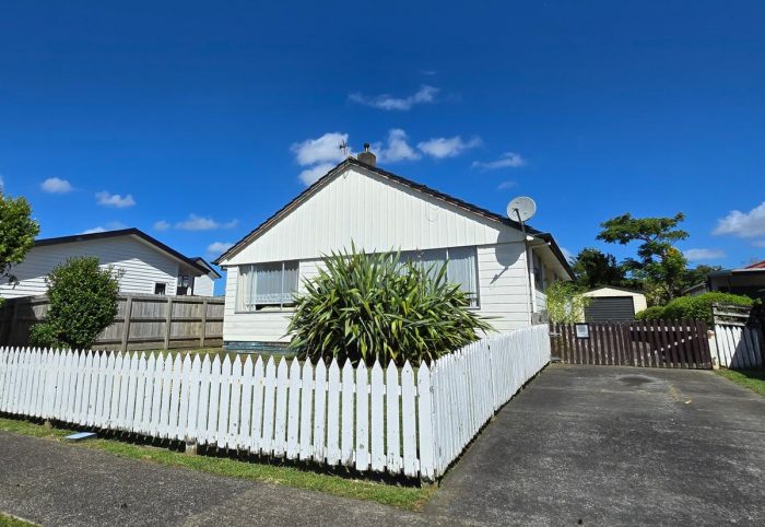 34 Raleigh Street, Awapuni, Palmerston North, Manawatu / Whanganui, 4412, New Zealand