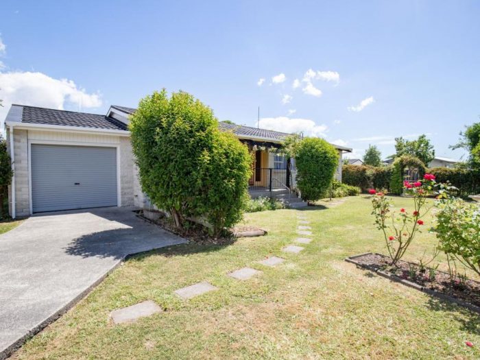 10 Pinnock Place, Ngatea, Hauraki, Waikato, 3503, New Zealand