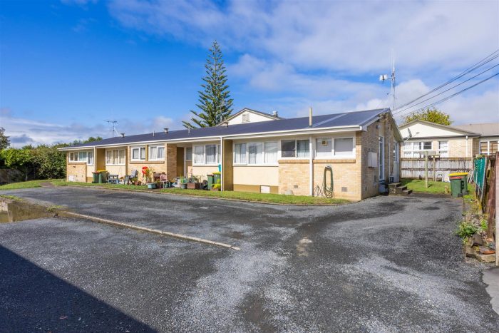 8a Te Aroha Street, Hamilton East, Hamilton, Waikato, 3216, New Zealand