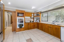 16A Formby Avenue, Point Chevalier, Auckland, 1022, New Zealand