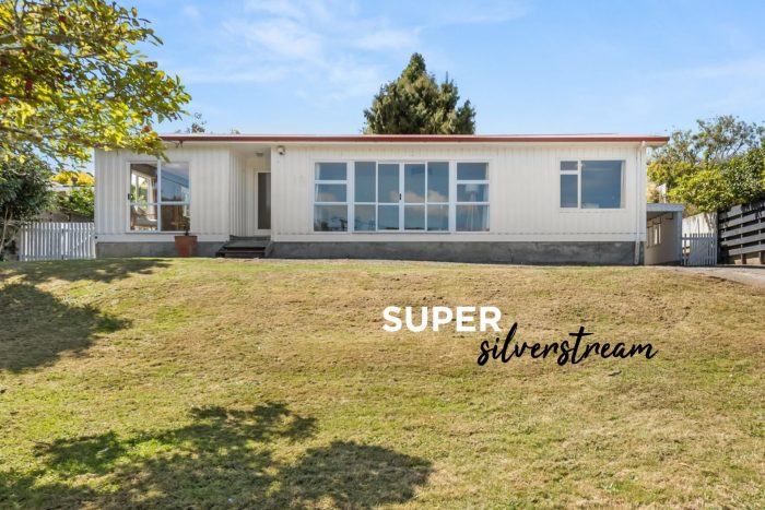 23 Dowling Grove, Silverstream, Upper Hutt, Wellington, 5019, New Zealand