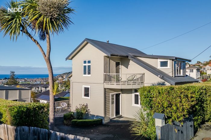 24 Cochrane Street, Mornington, Dunedin, Otago, 9011, New Zealand