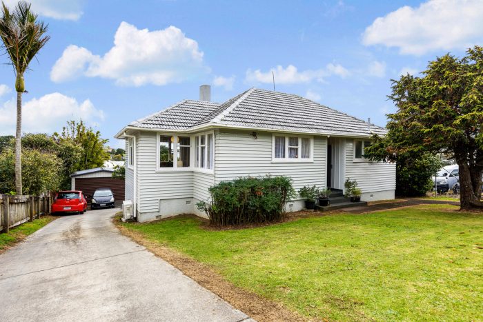 88 Freeland Avenue, Mount Roskill, Auckland, 1041, New Zealand