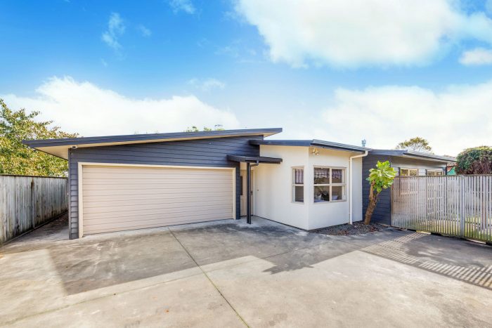 36C Fitzroy Street, Terrace End, Palmerston North, Manawatu / Whanganui, 4410, New Zealand