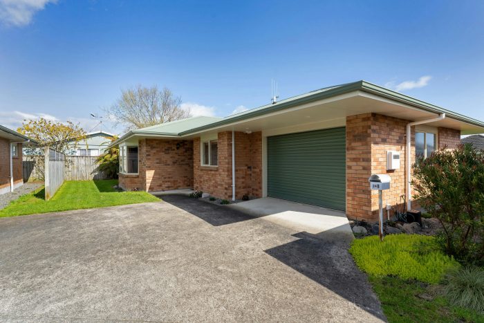 24B Reeve Street, Levin, Horowhenua, Manawatu / Whanganui, 5510, New Zealand