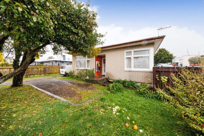 31 Knowles Street, Terrace End, Palmerston North, Manawatu / Whanganui, 4410, New Zealand