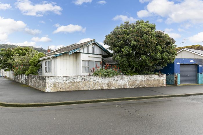 80 Apu Crescent, Lyall Bay, Wellington, 6022, New Zealand