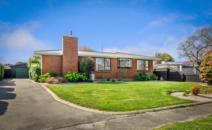 10 Charles Upham Avenue, Hillmorton, Christchurch City, Canterbury, 8025, New Zealand